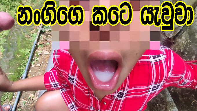 Gadis Sri Lanka muda memberikan blowjob deep throat kepada pakciknya dan menelan air maninya